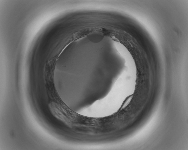 X0000113040143200909241442