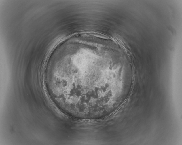 X0000113040145200909241441