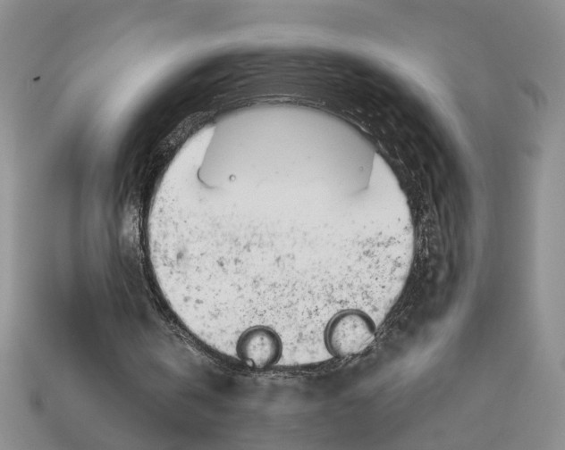 X0000113040146200909241441
