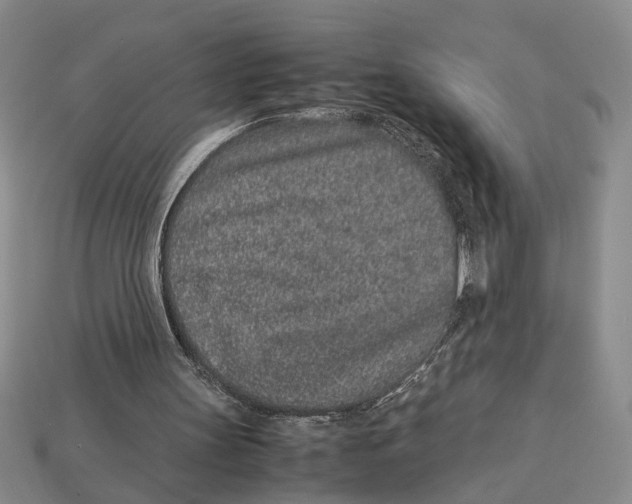 X0000113040147200909241441