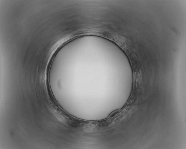 X0000113040148200909241441