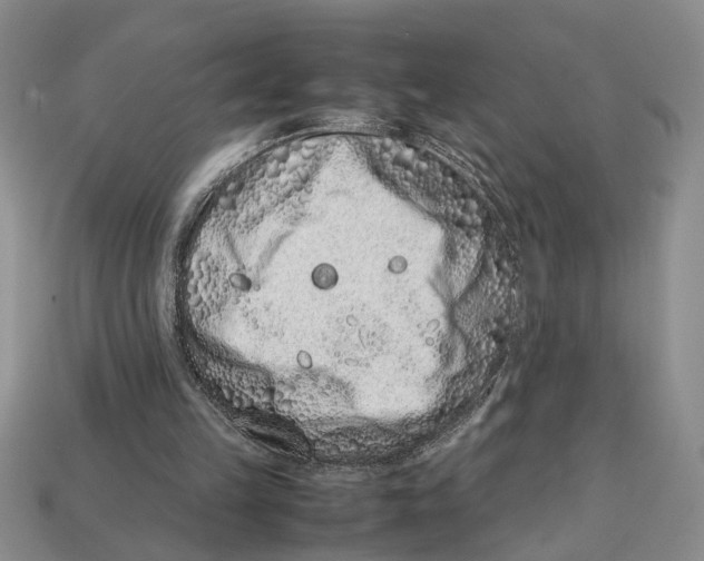 X0000113040149200909241441