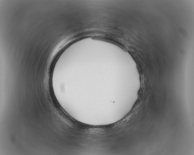 X0000113040150200909241441