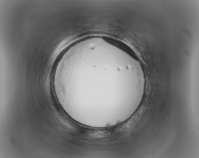 X0000113040151200909241441