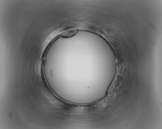 X0000113040152200909241441