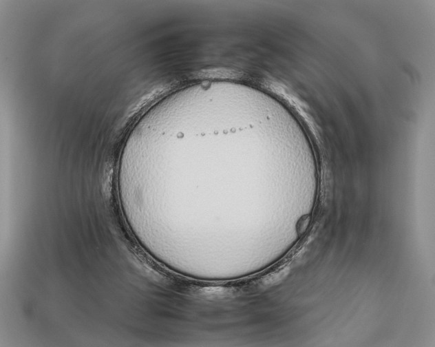 X0000113040153200909241441