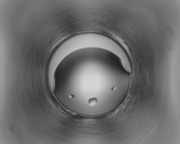 X0000113040154200909241441