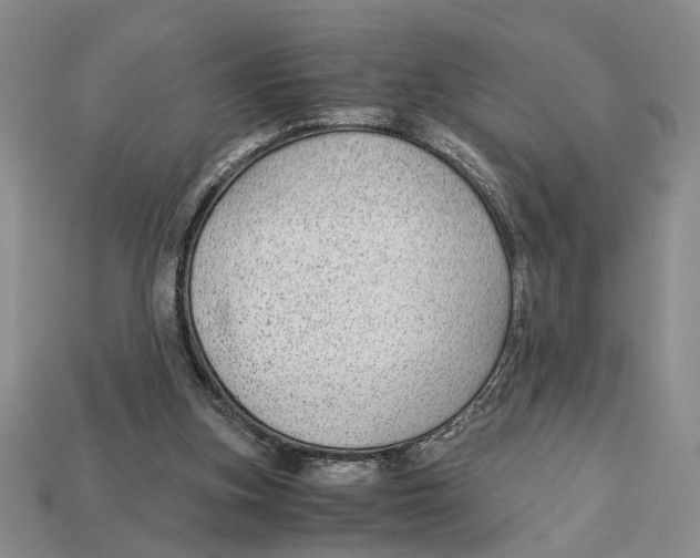 X0000113040155200909241441