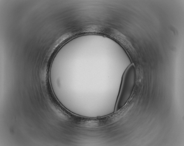 X0000113040156200909241441