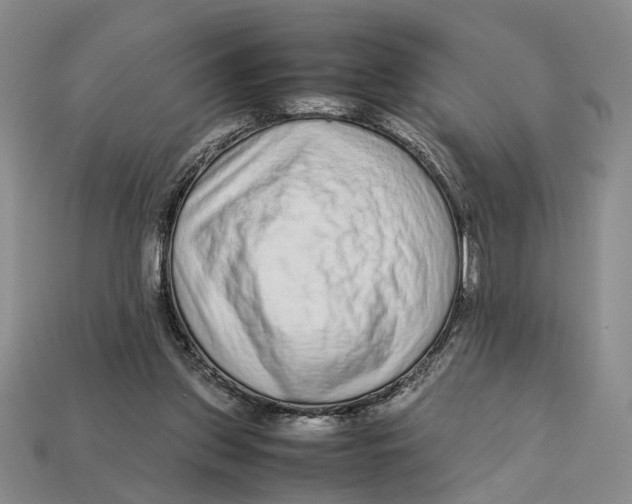 X0000113040157200909241441