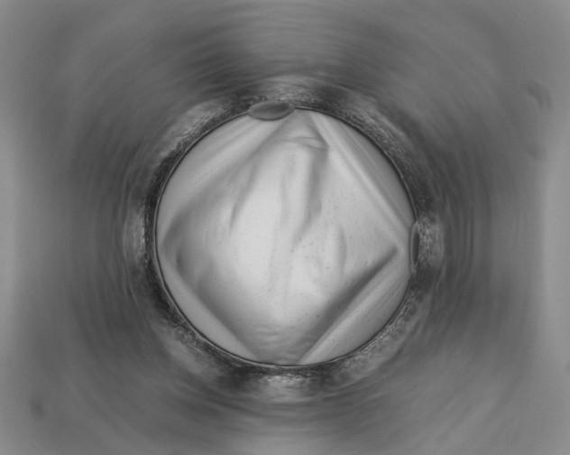 X0000113040158200909241441
