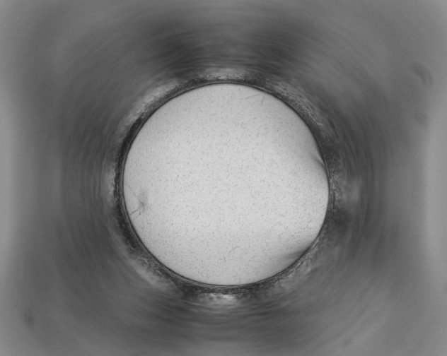 X0000113040159200909241441
