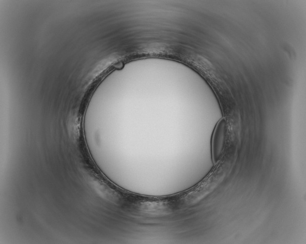 X0000113040160200909241441