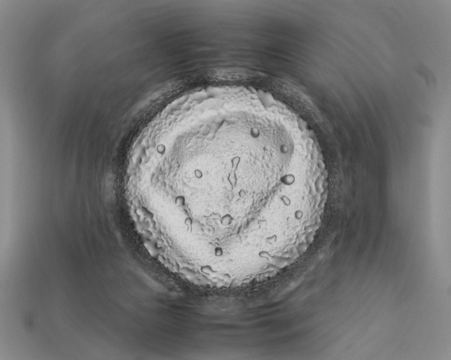 X0000113040161200909241441