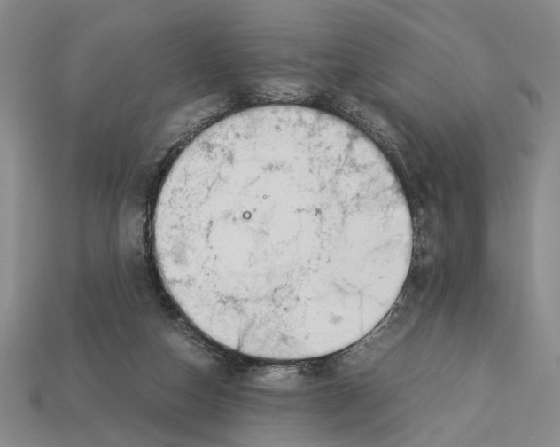 X0000113040162200909241441