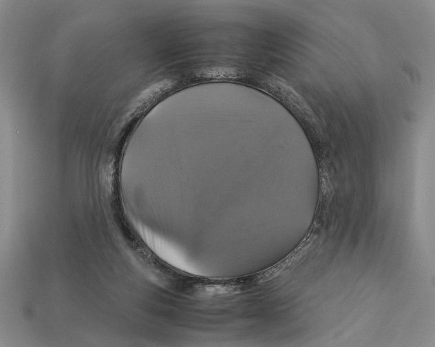 X0000113040163200909241442