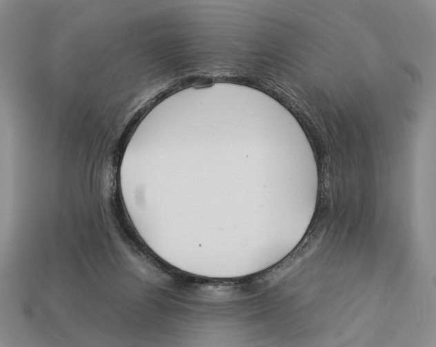 X0000113040164200909241442