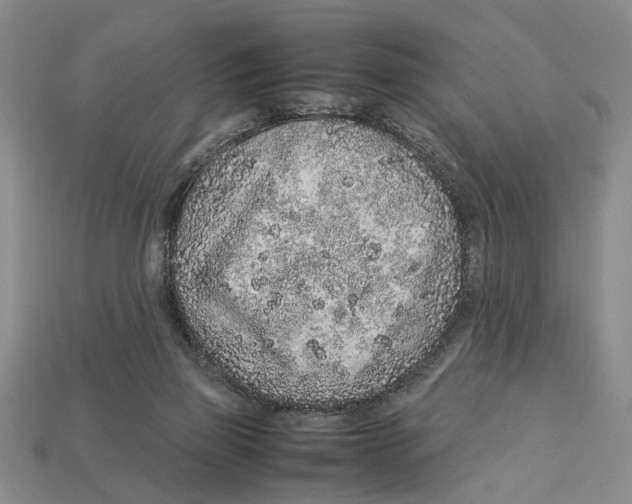X0000113040165200909241442