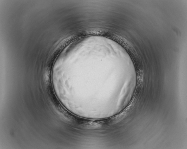 X0000113040166200909241442