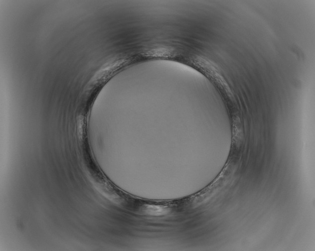 X0000113040167200909241442