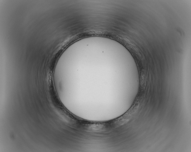 X0000113040168200909241442