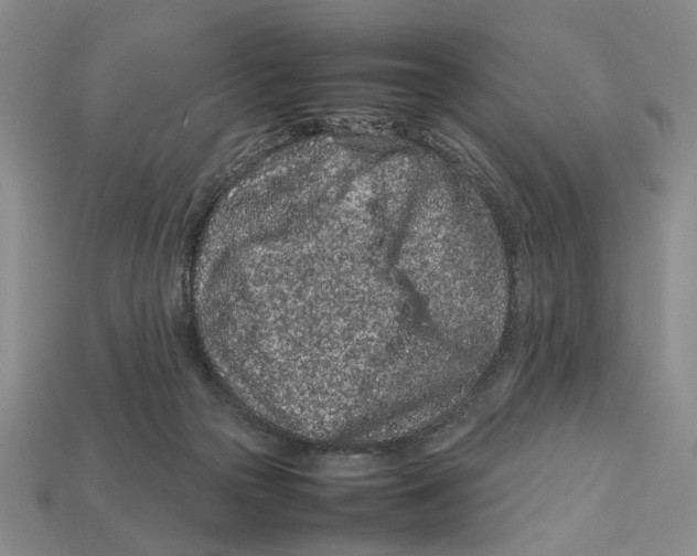 X0000113040169200909241442