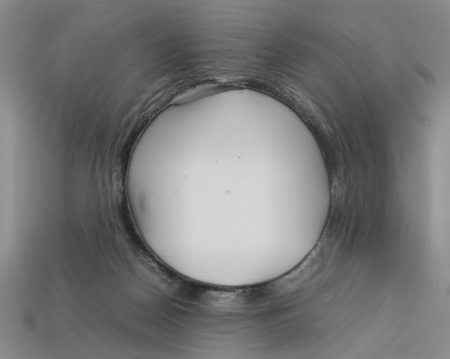 X0000113040170200909241442