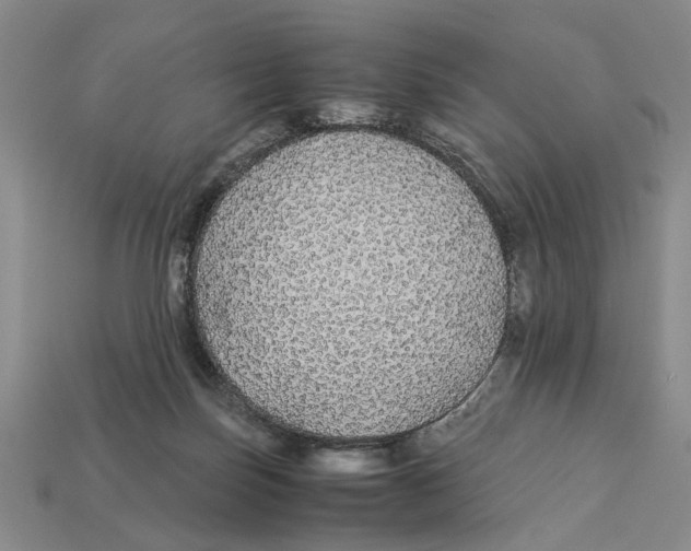 X0000113040171200909241442