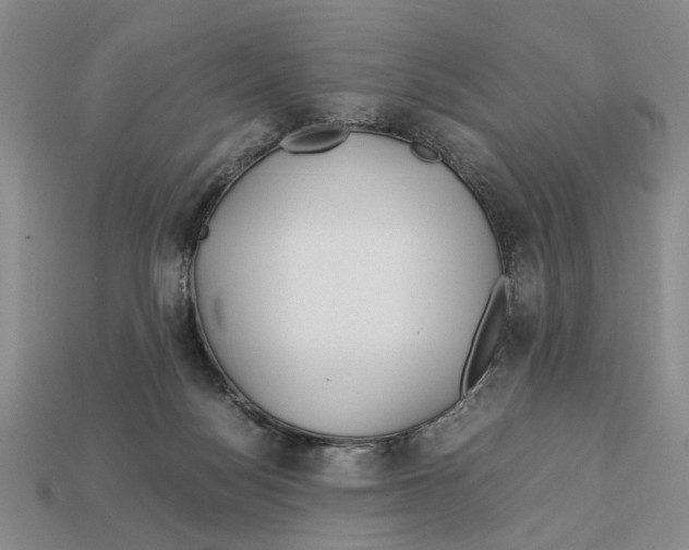 X0000113040172200909241442