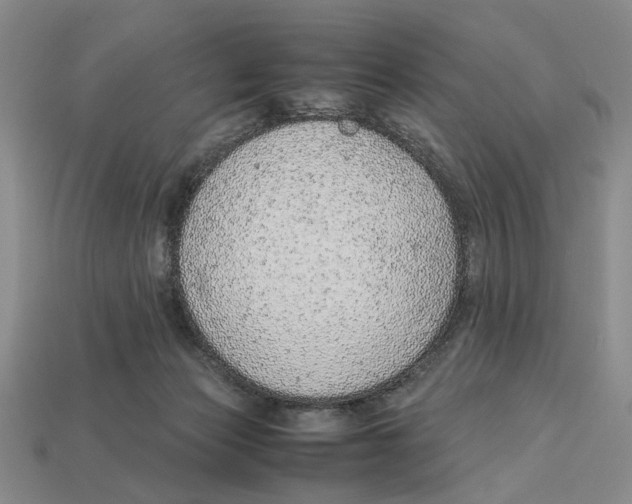 X0000113040173200909241442