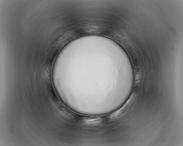 X0000113040175200909241442