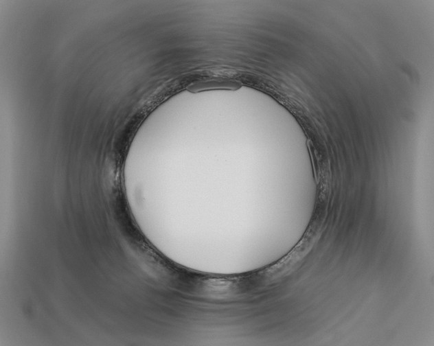 X0000113040176200909241442