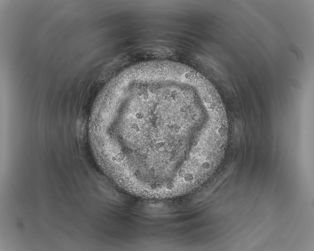X0000113040177200909241442