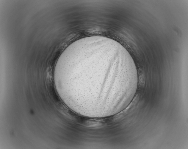 X0000113040179200909241442