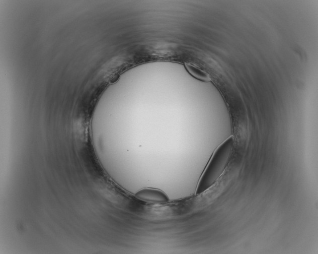 X0000113040180200909241442