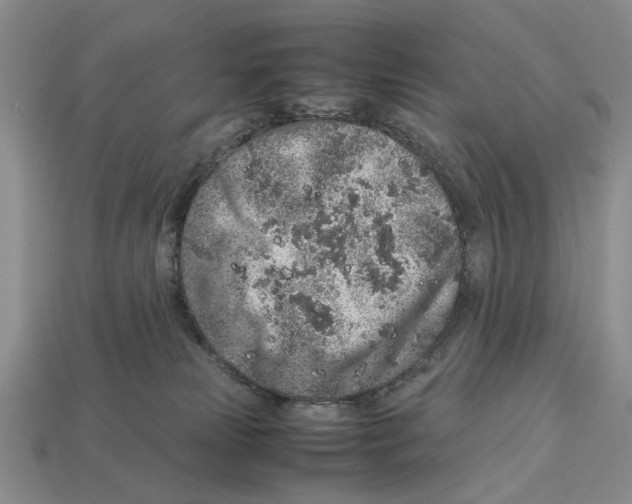 X0000113040181200909241442