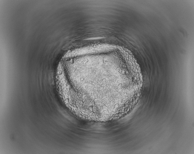 X0000113040182200909241442