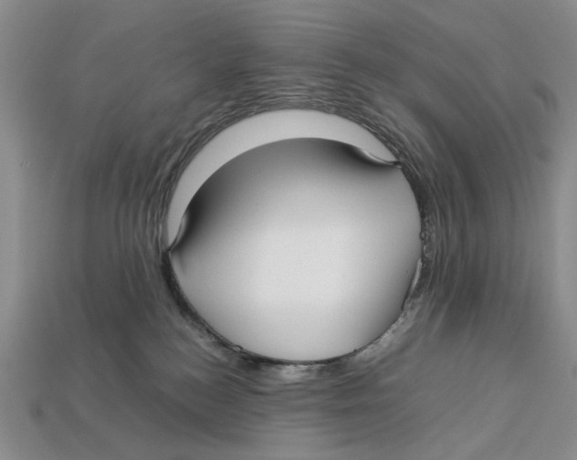 X0000113040184200909241442