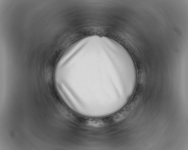 X0000113040185200909241442