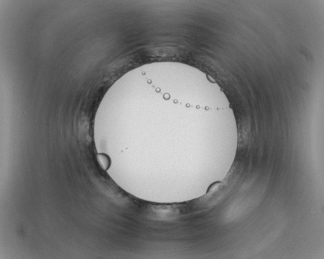 X0000113040187200909241442