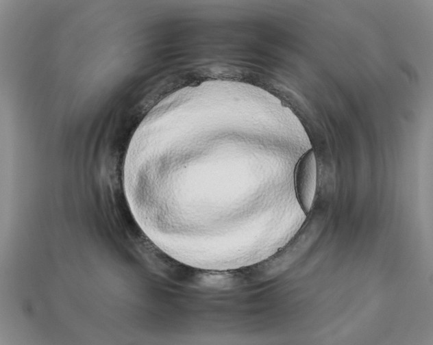 X0000113040189200909241442