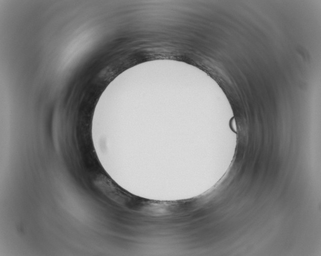 X0000113040190200909241442