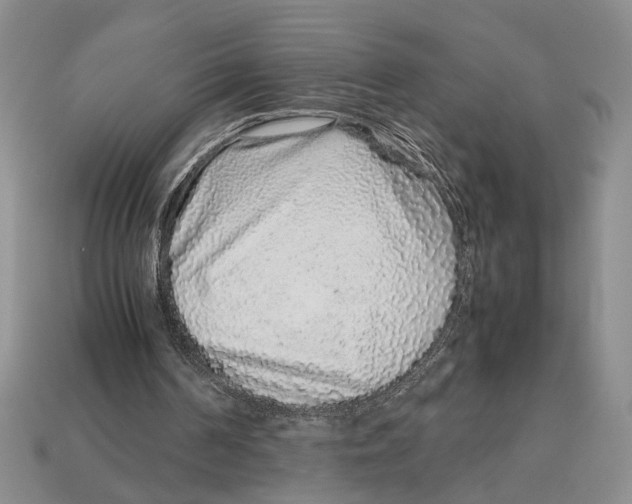 X0000113040194200909241441