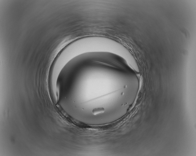 X0000113040195200909241441