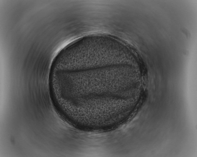 X0000113040196200909241441