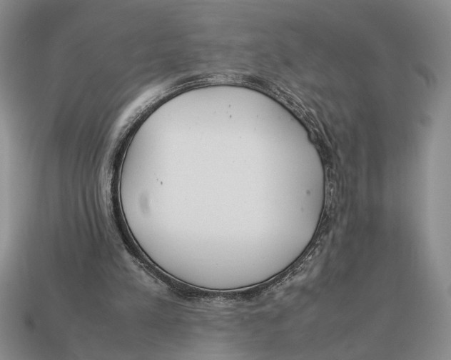 X0000113040197200909241441