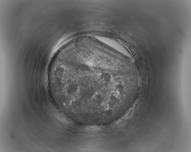 X0000113040198200909241441