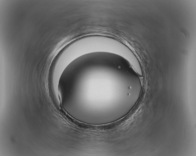X0000113040199200909241441