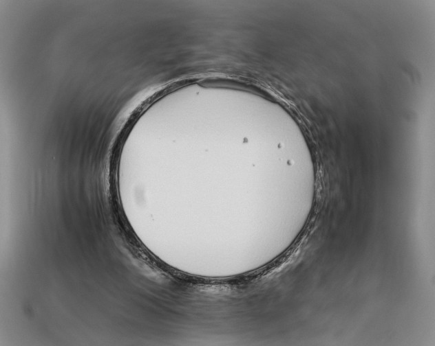 X0000113040200200909241441