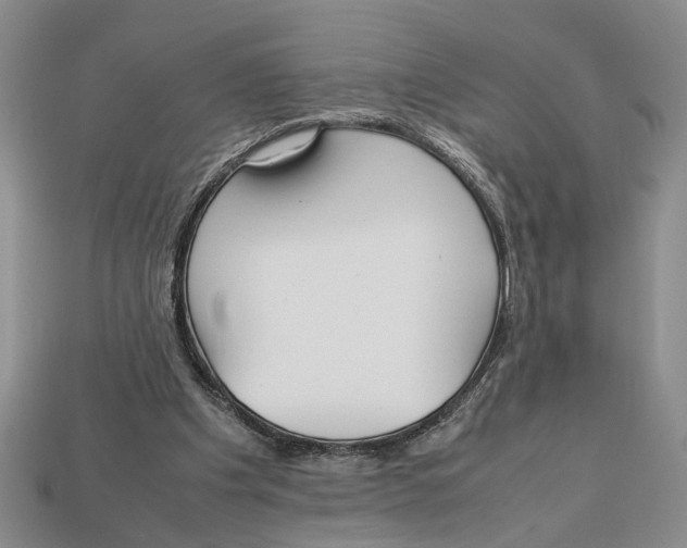 X0000113040201200909241441